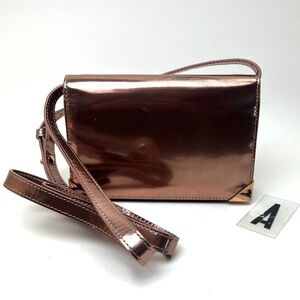 ALEXANDER WANG Prisma Biker Metallic wallet on a strap